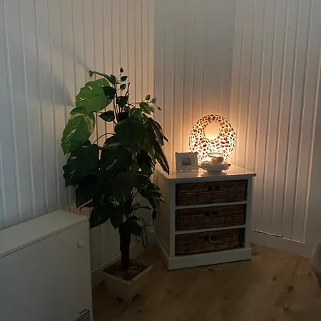 Apartment En Plein Centre , A 200m De La