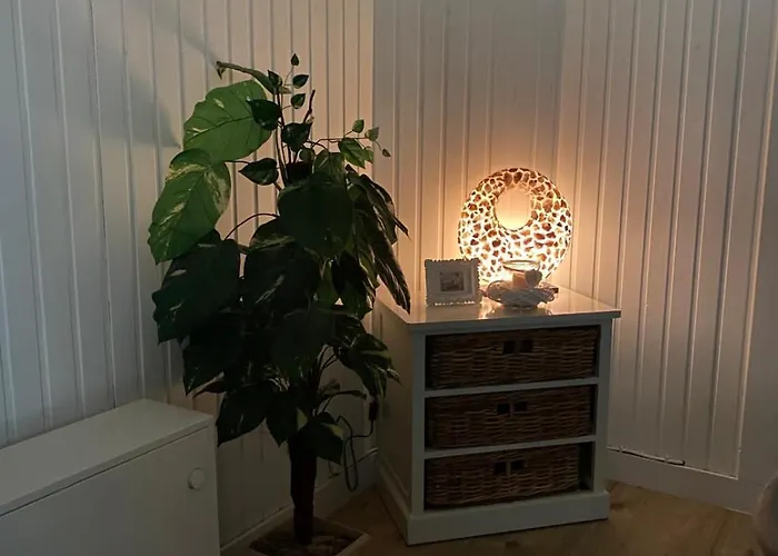 Apartman En Plein Centre , A 200m De La